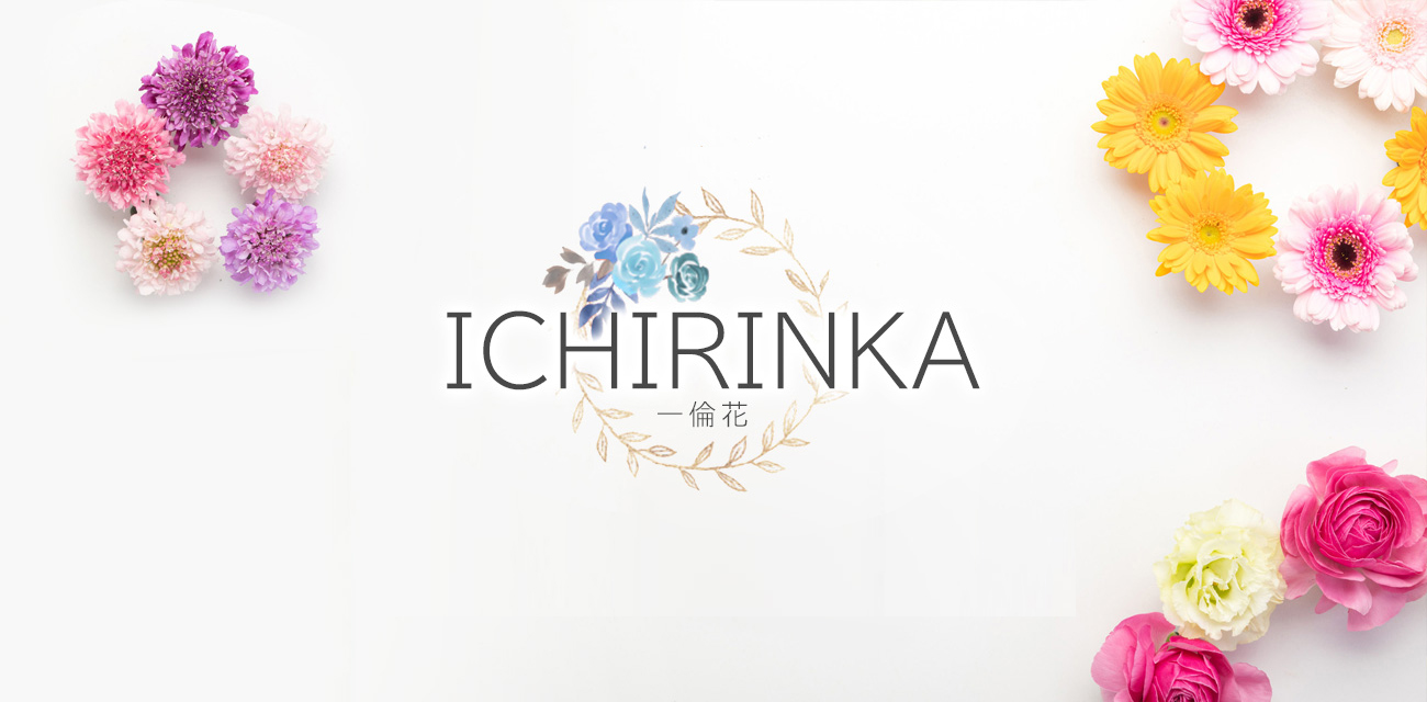 オープニングキャンペーン実施中