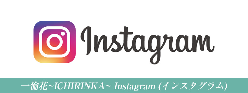 インスタグラム